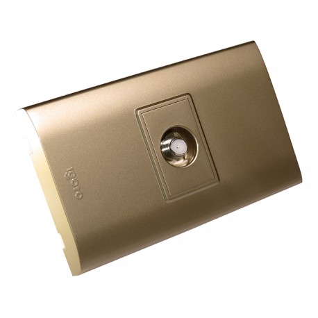 TOMA PARA TV DORADO B302-G IGOTO