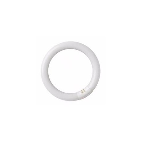 TUBO FLUORESCENTE CIRCULAR 22W MARCA FEDERAL
