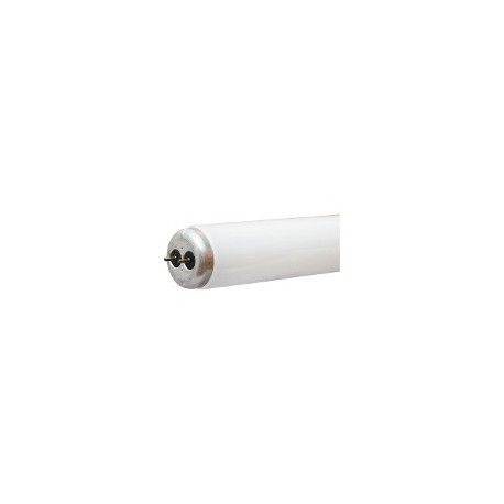 TUBO FLUORESCENTE 40W 6500K 48" G.E. 14488