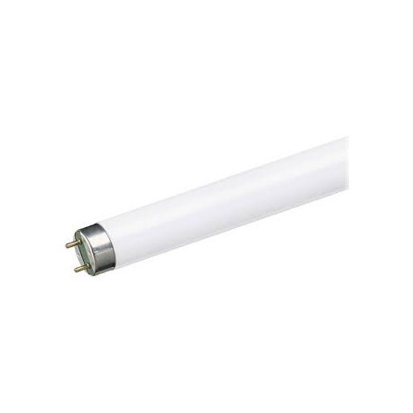 TUBO FLUORESCENTE 32W T8 6500K 120V. LIGHTING