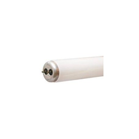 TUBO FLUORESCENTE 40W EN U  22.5  T12, 40W, 2800-2460 L GE F40CW/U/T12/6 14496