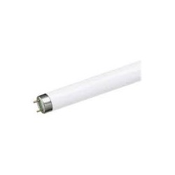 TUBO FLUORESCENTE 32W T8 6500K DLU