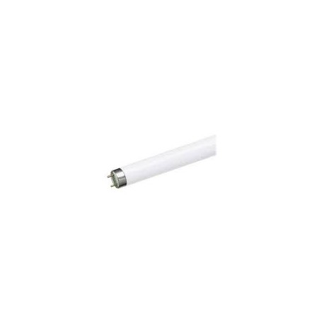 TUBO FLUORESCENTE 32W T8 6500K DLU