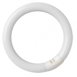 TUBO FLUORESCENTE CIRCULAR 32W MARCA FEDERAL