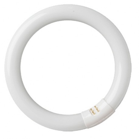 TUBO FLUORESCENTE CIRCULAR 32W MARCA FEDERAL