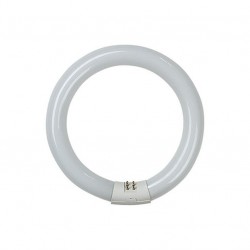 TUBO FLUORESCENTE CIRCULAR 32W 120V. MARCA LUMINART